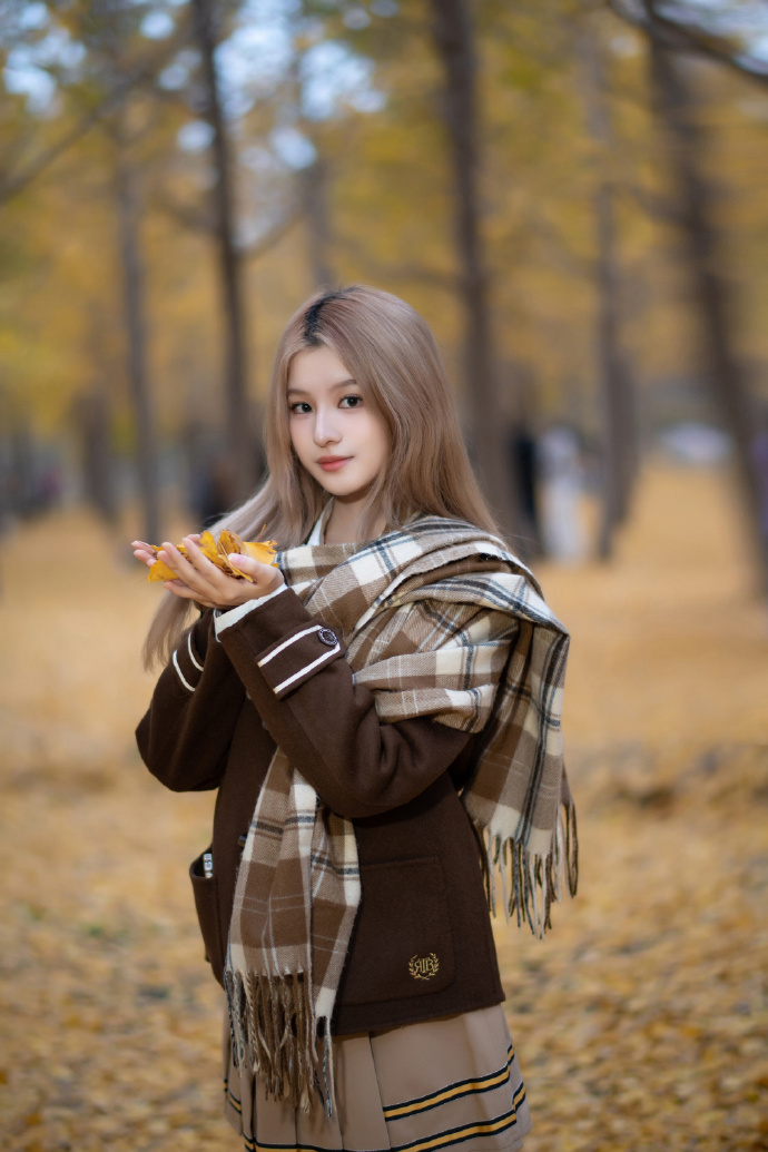 霸王别姬 封面